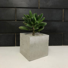 Load image into Gallery viewer, Concrete Republic's DIY Pot Kit - Makes 2 Pots